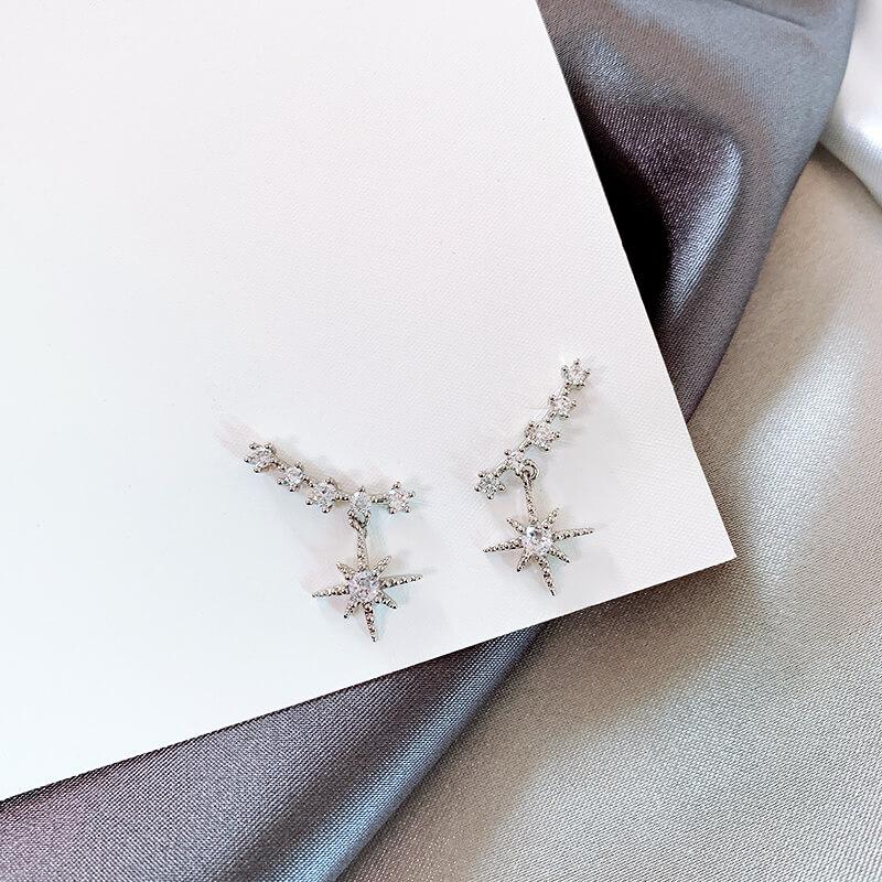 White Tanuki silver / Standard Constellation Earrings